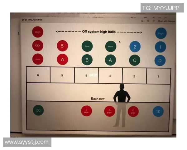 成都排球队转换体系解析与战术创新探讨