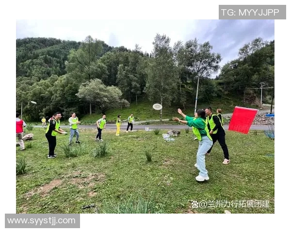 飞盘盛宴：深入解析北京飞盘队员的独特技能与团队协作