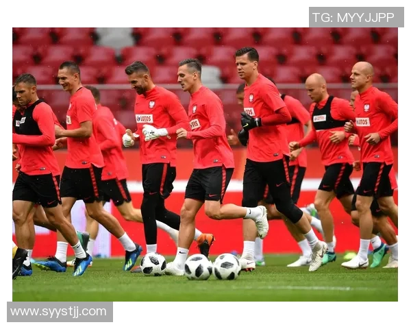 奥地利与波兰足球历史交锋记录分析及战绩回顾